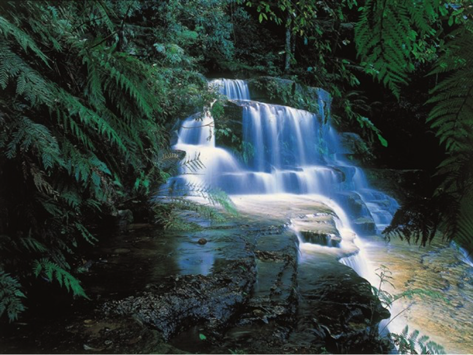 a blue mountains holiday christmas in july adore australia a blue mountains holiday christmas in july adore australia