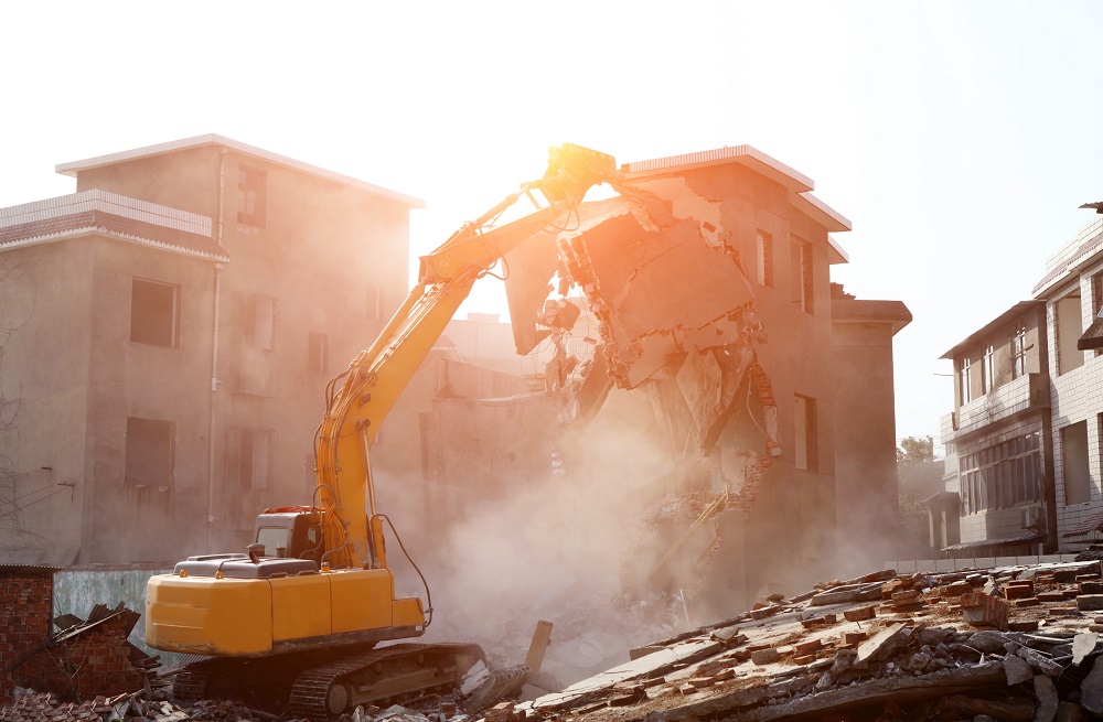 Domestic Demolition